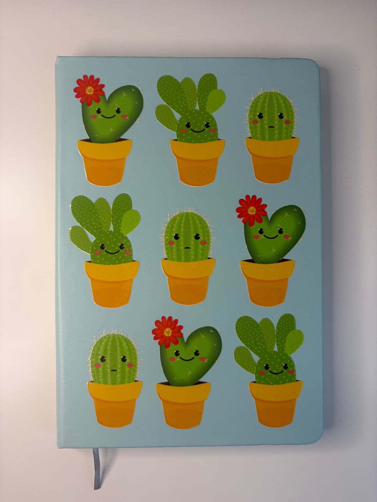 Cactus Plants with Faces
